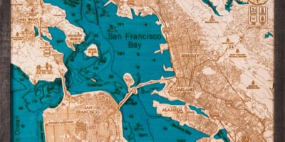 地図サンフランシスコの木