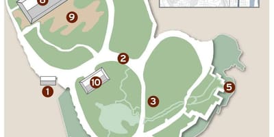 図日本の大茶園（パイロット大茶園）